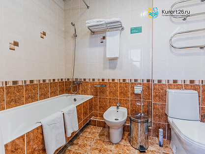 Санаторий «Долина Нарзанов» г. Кисловодск. Номера